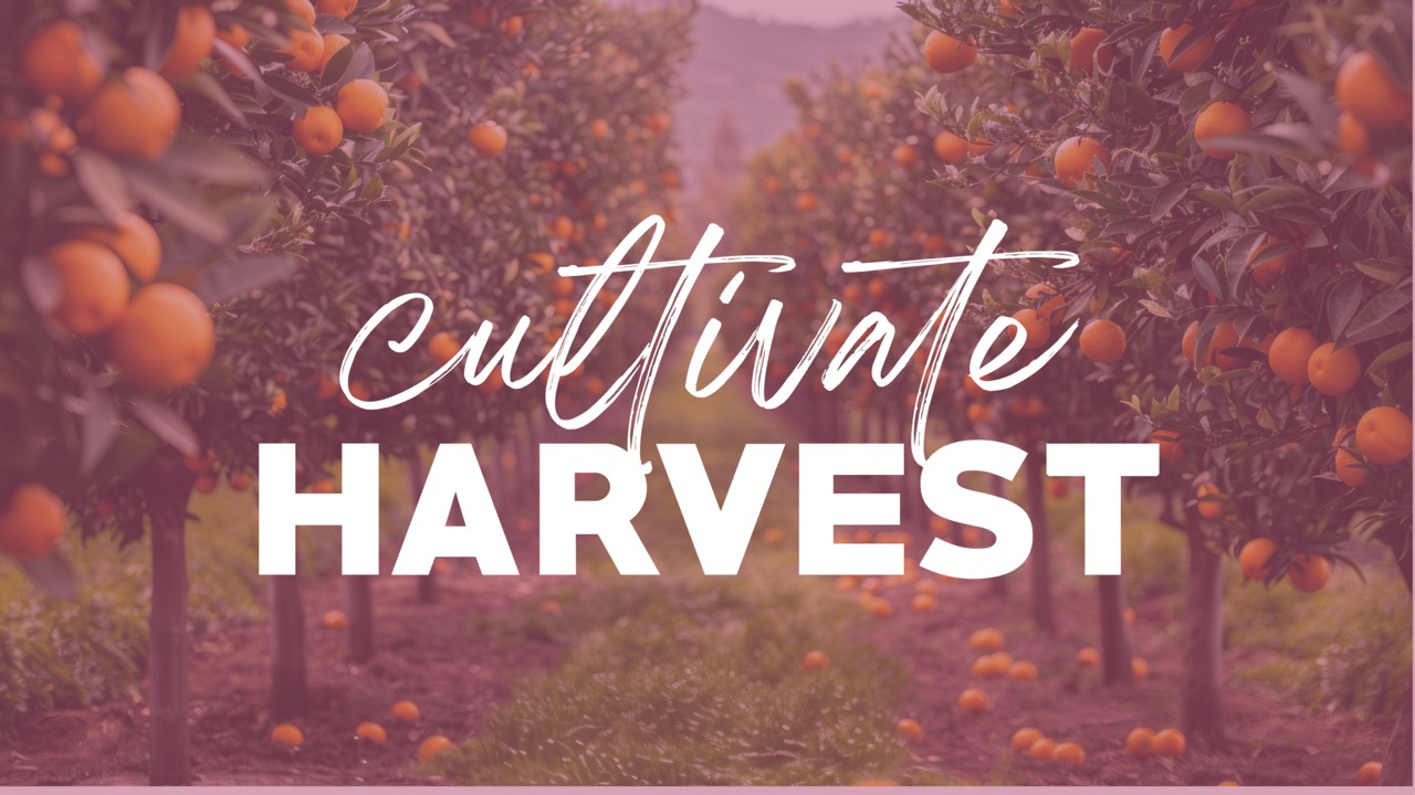 Cultivate Harvest